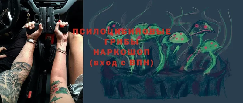 Галлюциногенные грибы MAGIC MUSHROOMS  ОМГ ОМГ маркетплейс  Ковылкино 